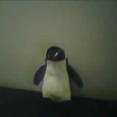 penguin_1700679748082